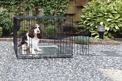 Hondenbench 1 deurs zwart 49 X 36 X 40 cm