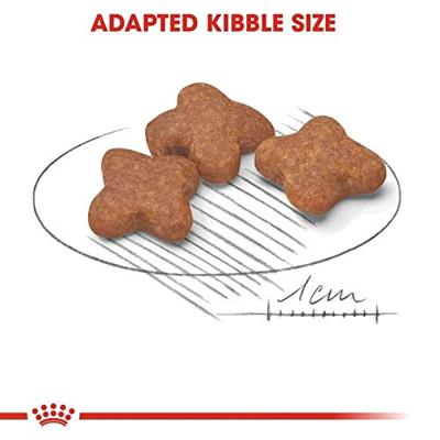 Royal Canin Mini Adult 8+ hondenvoer 2 x 8 kg