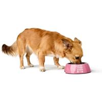 Voerbak voor honden Hunter Chester Roze 350 ml - thumbnail