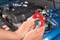 Buisbuiger Vigor V1782 - thumbnail