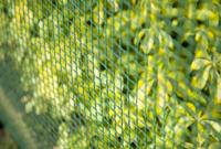 Nature tuinscherm vierkant gaas 20x20 mm 1x3 m groen - thumbnail