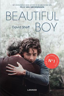 Beautiful Boy - David Sheff - ebook