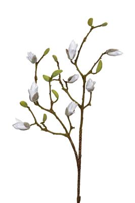 Magnolia knoppen l90cm wit kunstbloem Louis Maes - Louis maes Magnolia knoppen l90cm wit kunstbloem Louis Maes - Louis maes