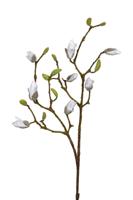 Magnolia knoppen l90cm wit kunstbloem Louis Maes - Louis maes - thumbnail