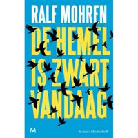 De hemel is zwart vandaag (Paperback) - thumbnail