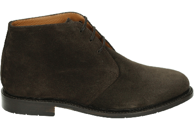 Van Bommel OLDA 01.03 - alle