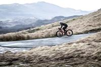Rogelli Collant Liona Fietsbroek dames S/36 - thumbnail