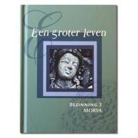 Een groter leven (Hardback) - thumbnail