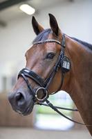 Le Mieux Startnummer zwart bling zwart - thumbnail