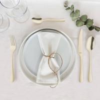 Amefa austin latte lepels 6 stuks champagne - thumbnail