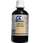 GO Corylus avellana 100 Milliliter