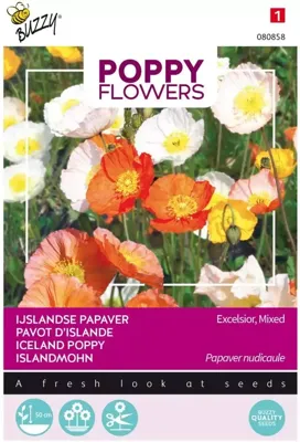 Zaden Poppies of the world IJslandse papaver Buzzy - Buzzy Zaden Poppies of the world IJslandse papaver Buzzy - Buzzy