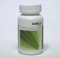 Ayurveda Health Karela momordica 120 Tabletten - thumbnail