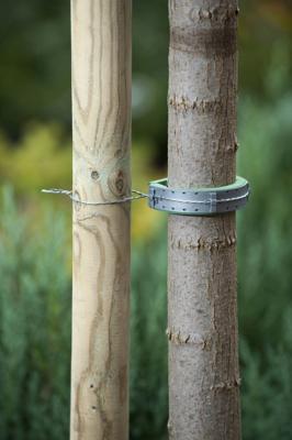 Softboomband groen 30x2,5cm set a 2 stuks Nature - Nature