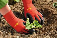 Wolf Garten Bodemhandschoen MT10 GHBO10 - 7760016 - thumbnail
