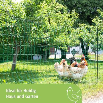 KERBL Net voor kippen 50 m - 106 cm - dubbelpuntig - groen - niet elektrisch