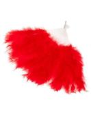 Waaier rood - thumbnail