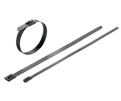 Weidmüller 1015310000 SCT-C 7.9/200 Kabelbinder 200 mm 7.9 mm Zilver Met coating 100 stuk(s)