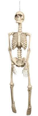 Decoratie Skelet 92cm