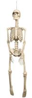 Decoratie Skelet 92cm - thumbnail