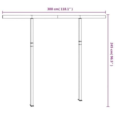 VidaXL Luifelpaalset 300x245 cm ijzer antracietkleurig
