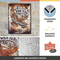Harley Davidson Born to Ride Eagle wandplaat - thumbnail