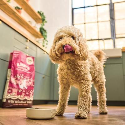 LILY'S KITCHEN DOG ADULT DUCK / SALMON / VENISON - thumbnail