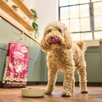 LILY'S KITCHEN DOG ADULT DUCK / SALMON / VENISON 7 KG - thumbnail