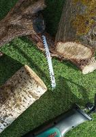 Bosch Accessories 2609256703 Reciprozaagblad HCS, S 1542 K Zaagbladlengte 240 mm 2 stuk(s) - thumbnail