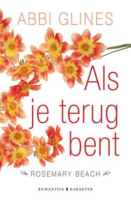 Als je terug bent - Abbi Glines - eBook (9789045209791)