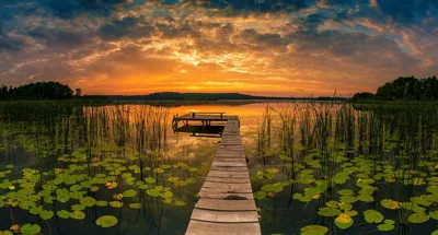 Alexsar Art Tuinschilderij panorama 130x70cm