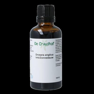 Cruydhof Drosera Anglica Hrb/Zonnedauw Druppels
