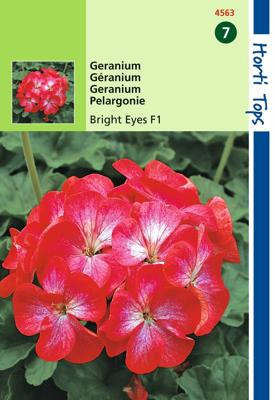 Zaden Pelargonium Geranium Bright Eyes F1 rood / Wit Hortitops - Hortitops
