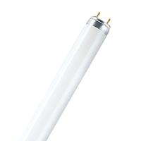 OSRAM HOMELIGHTING TL-lamp Energielabel: G (A - G) G13 58 W Warmwit Buis (Ø x l) 25.5 mm x 1514.2 mm 1 stuk(s) - thumbnail