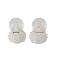 Gerkimex Schudbal zeester of zeepaard ø4,5x7cm - thumbnail