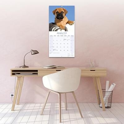 Bullmastiff Kalender 2026