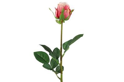 Countryfield kunsttak roos 70cm multi