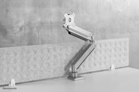 Neomounts SELECT Flat Screen Desk Mount 25,4 cm (10 inch), 10 cm (49 inch) - thumbnail