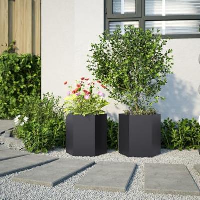 Plantenbakken 2 st zeshoek 46x40x45 cm staal zwart Plantenbakken 2 st zeshoek 46x40x45 cm staal zwart