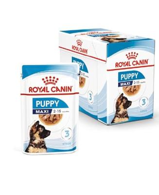 Royal Canin Maxi Puppy hondenvoer Natvoer (10x140g) Royal Canin Maxi Puppy hondenvoer Natvoer (10x140g)