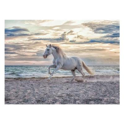 Ravensburger puzzel Paard op het strand 500 stukjes