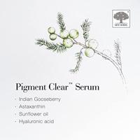 New Nordic Pigment Clear Serum - thumbnail