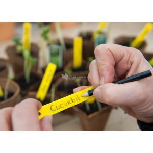 Plantenetiketten H10cm incl. potlood set a 25 stuks Nature - Nature