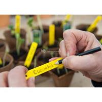 Nature plantenetiketten 25 stuks 10 cm met potlood - thumbnail