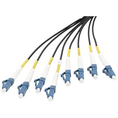 Digitus DK-2A338U075BK-BBB Glasvezel Optische vezel Aansluitkabel 75 m Zwart [8x LC-/UPC-stekker - 8x LC-/UPC-stekker] 9/125 µ Singlemode OS2