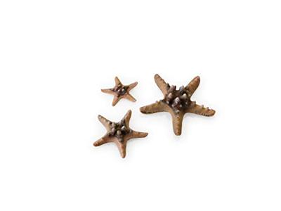 BiOrb zeester set 3 natuur aquarium decoratie