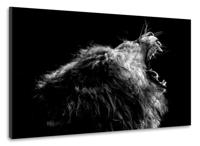 Schilderij - Brullende Leeuw, 100x70cm. Premium print, dieren - thumbnail