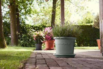 Elho algarve cilindro 25 thyme green - thumbnail