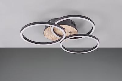 Trio PlafondlampCircle Ø 43,5cm - R62823135