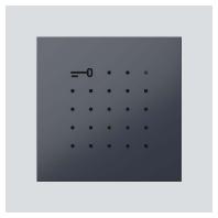 Siedle 210008426-00 Functiemodule voor Accessoires voor deurintercom Antraciet - thumbnail